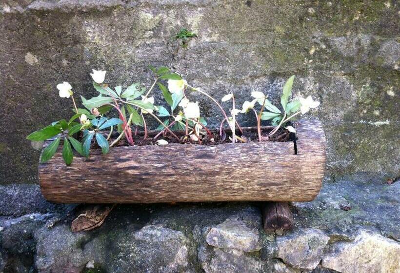 Bed & Breakfast Casa Marinella