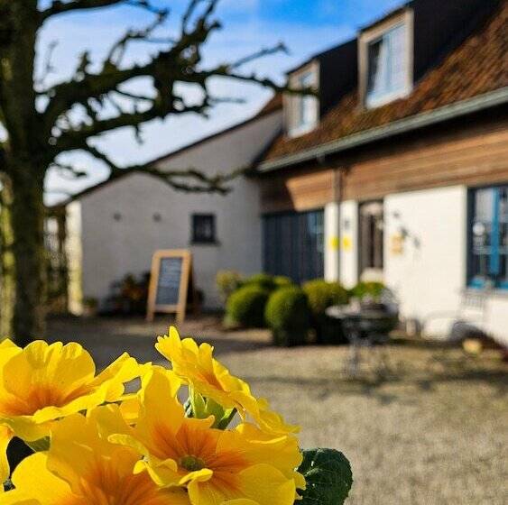 Boutique B&b Droomkerke