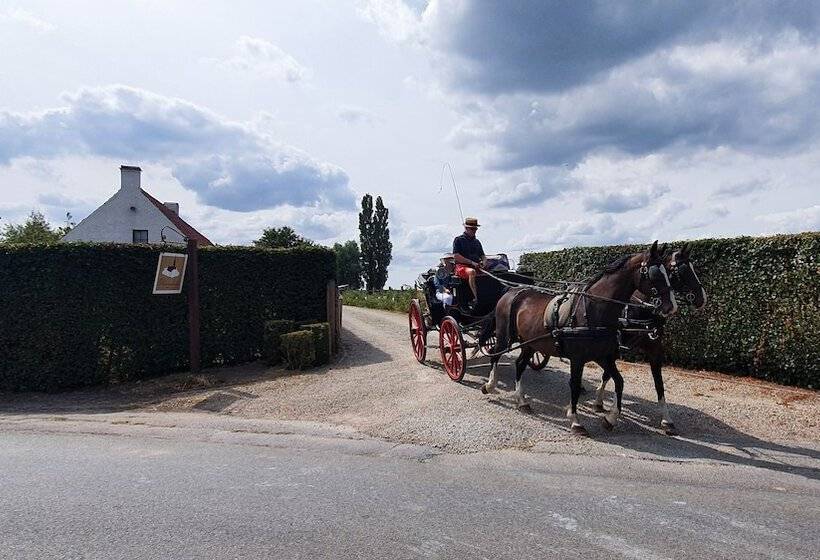 Boutique B&b Droomkerke