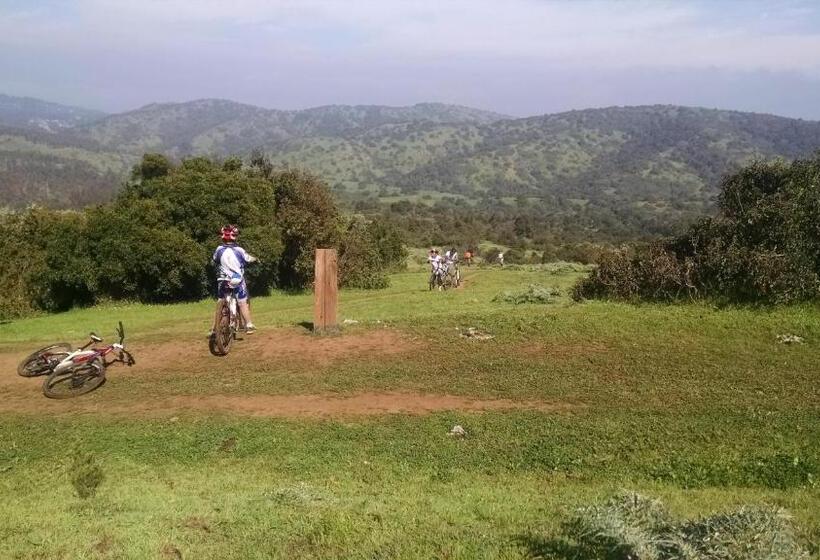 Cabañas Hostel Aquario Papudo