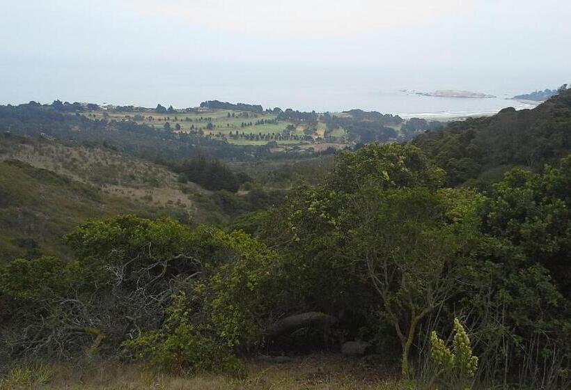 Cabañas Hostel Aquario Papudo