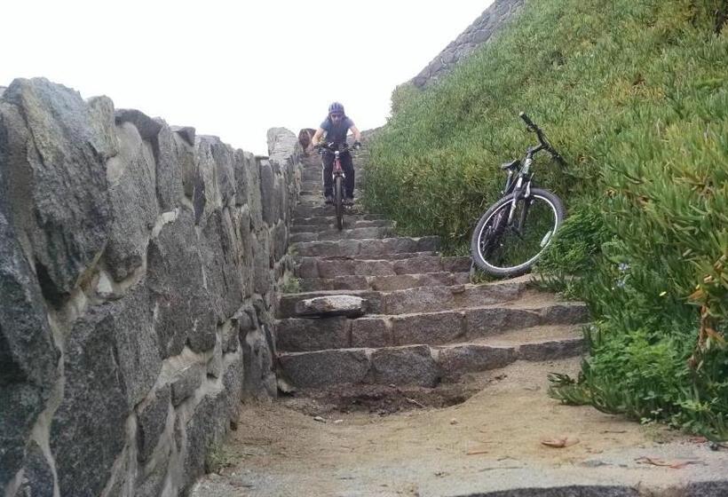 Cabañas Hostel Aquario Papudo