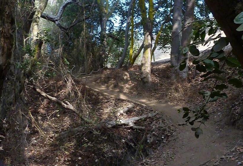 Cabañas Hostel Aquario Papudo