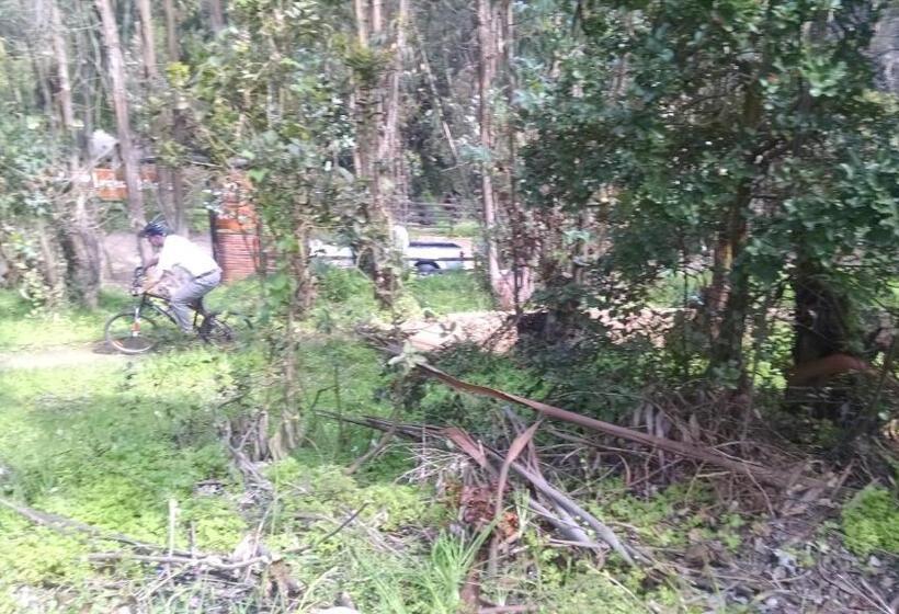 Cabañas Hostel Aquario Papudo