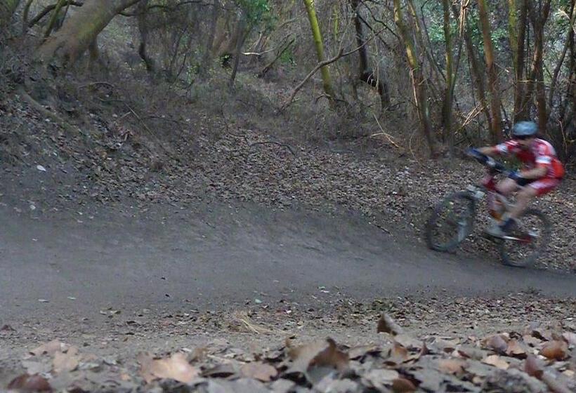 Cabañas Hostel Aquario Papudo