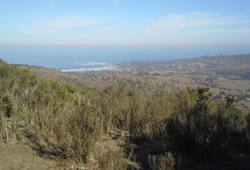 Cabañas Hostel Aquario Papudo