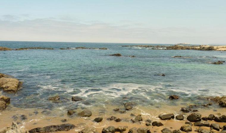 Cabañas Hostel Aquario Papudo