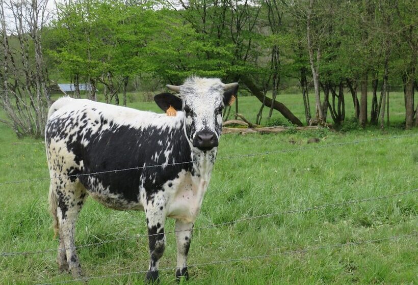 Grange D'anjeux Bed & Breakfast