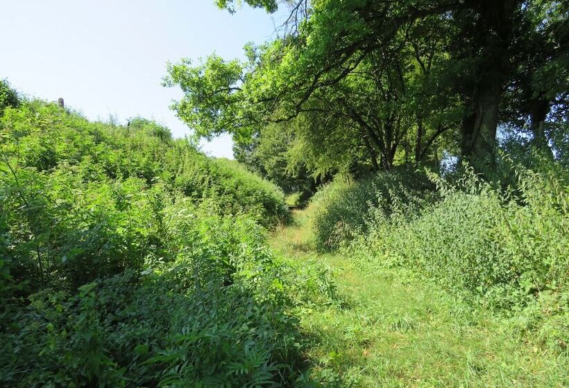 Grange D'anjeux Bed & Breakfast