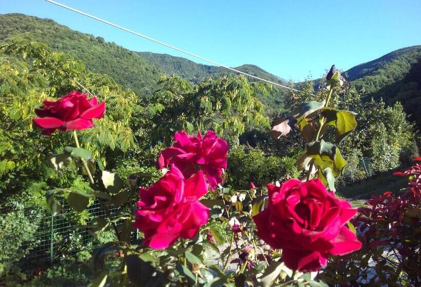 酒店 Agriturismo Cà Sonino