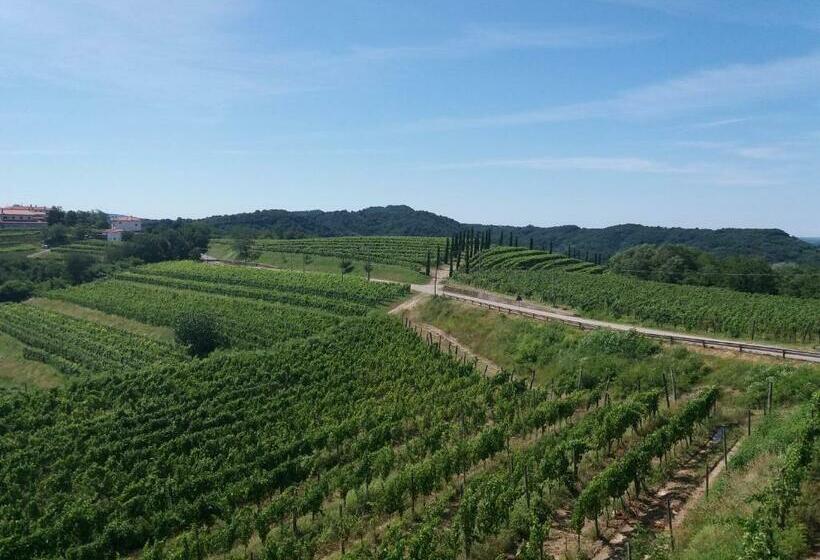 فندق Agriturismo Casa Delle Rose Winery