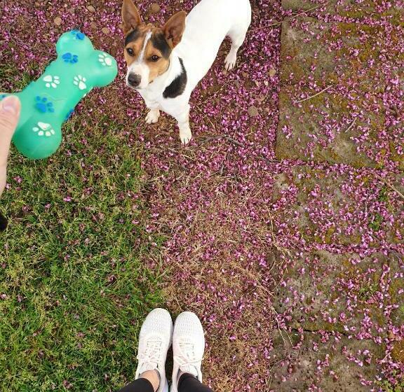 בית מלון כפרי Agriturismo Diaccialone