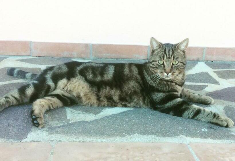 בית מלון כפרי Agriturismo Diaccialone