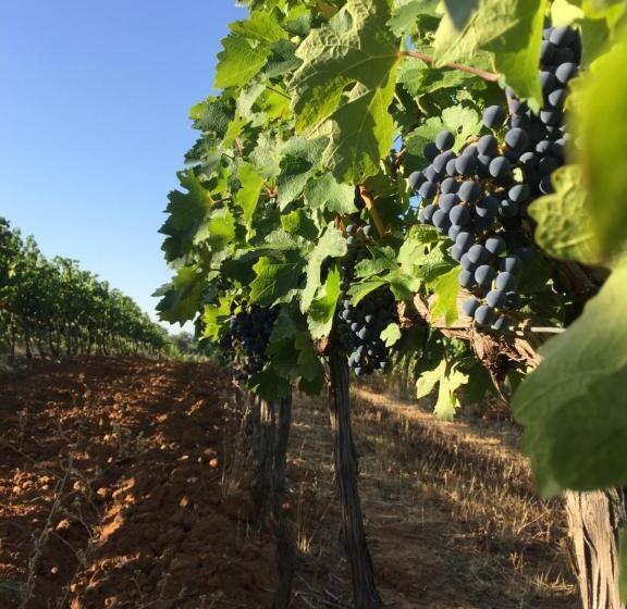 בית מלון כפרי Agriturismo Diaccialone