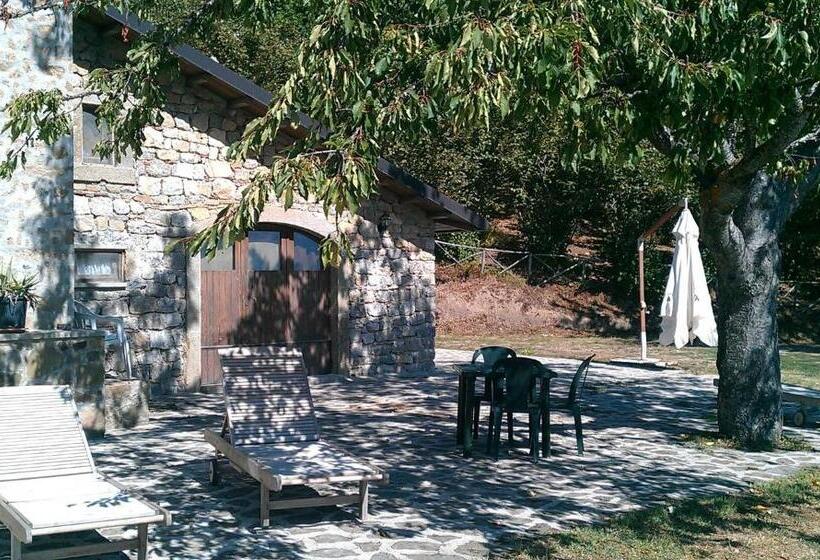 בית מלון כפרי Agriturismo Il Vignale