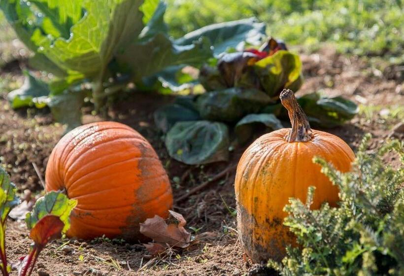 فندق Agriturismo La Fucina