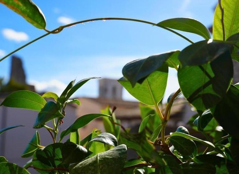 Отель Al Piccolo Borgo Locanda Con Alloggio