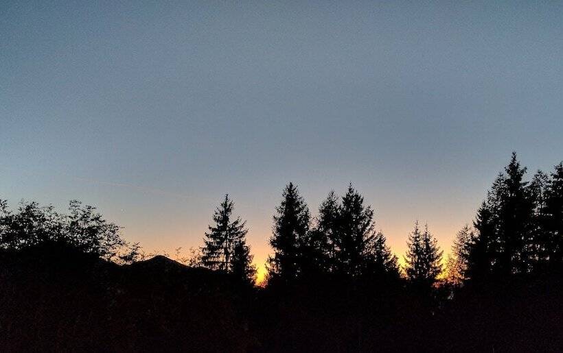 ホテル Albergo Ristorante Pineta