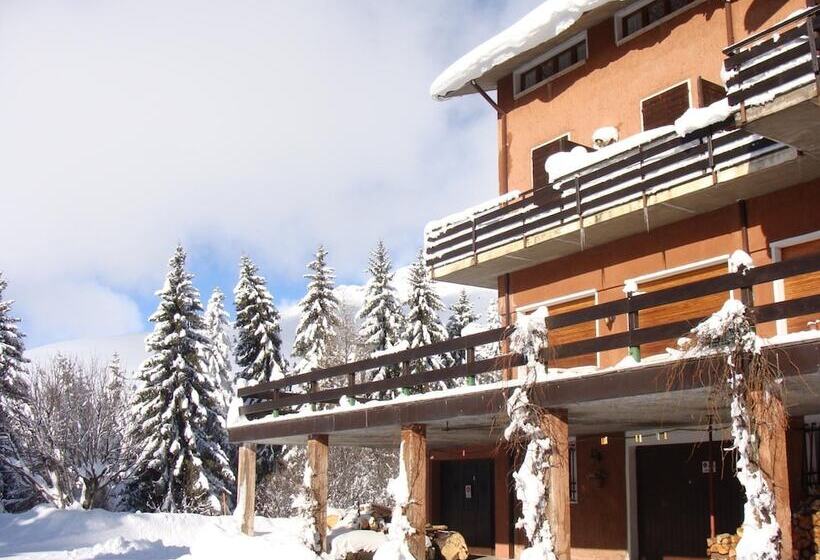 ホテル Albergo Ristorante Pineta