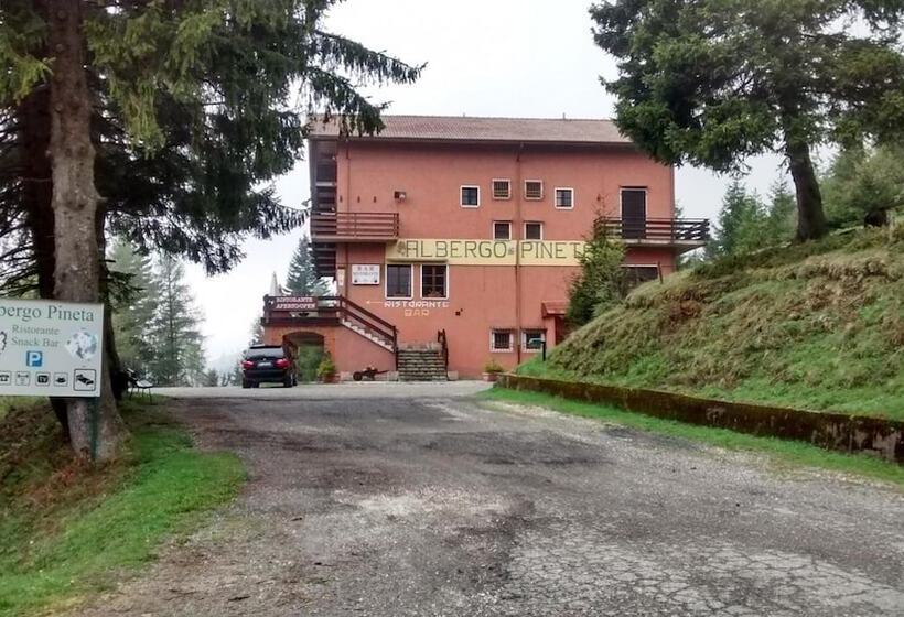 ホテル Albergo Ristorante Pineta