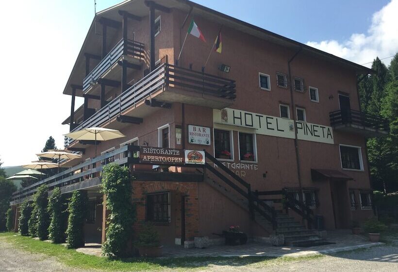 ホテル Albergo Ristorante Pineta