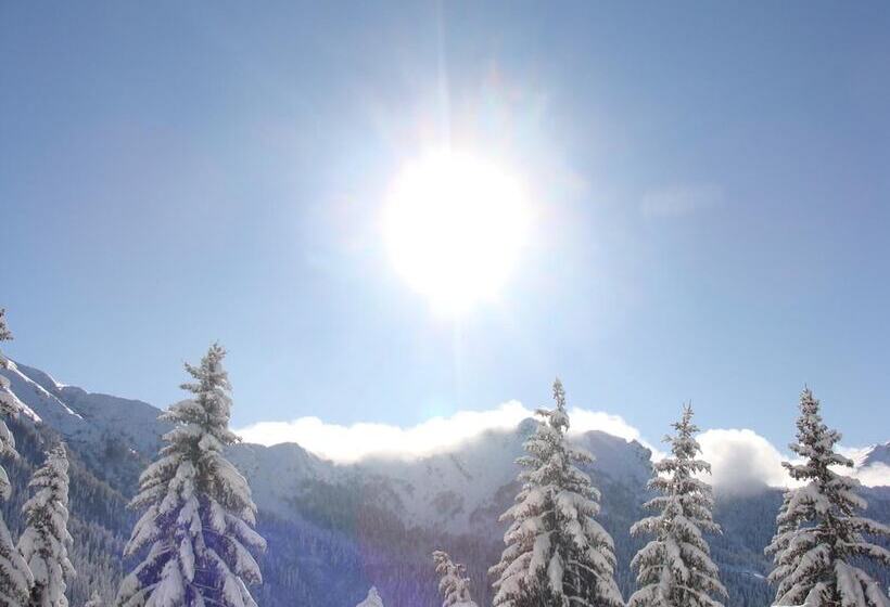 ホテル Albergo Ristorante Pineta