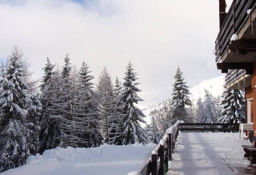 ホテル Albergo Ristorante Pineta