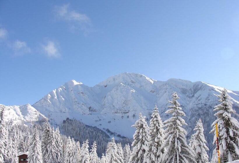 ホテル Albergo Ristorante Pineta