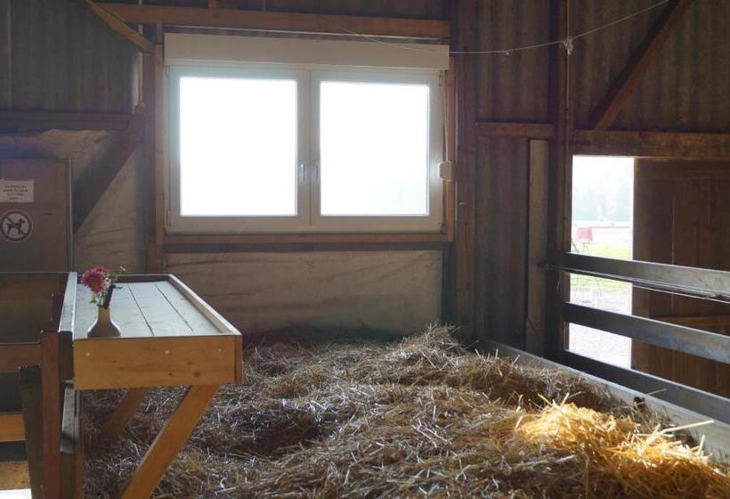 Отель Bolderhof