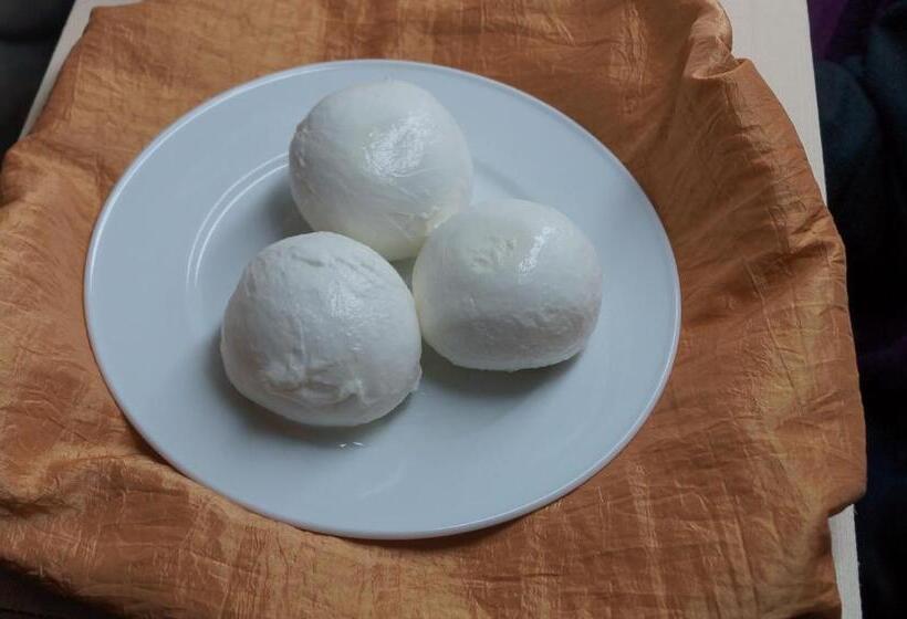 Отель Bolderhof