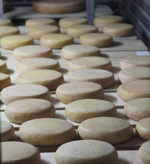 Отель Bolderhof