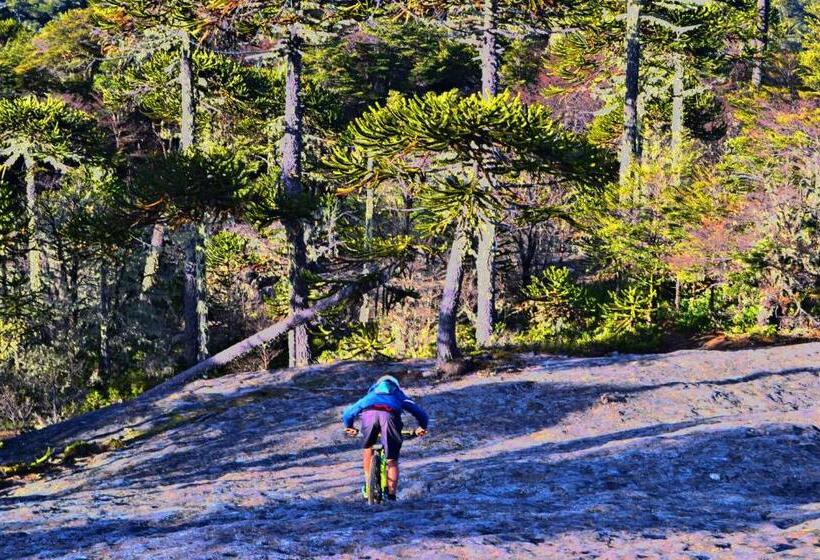 בית מלון כפרי Complejo Pehuen Lago Lanalhue