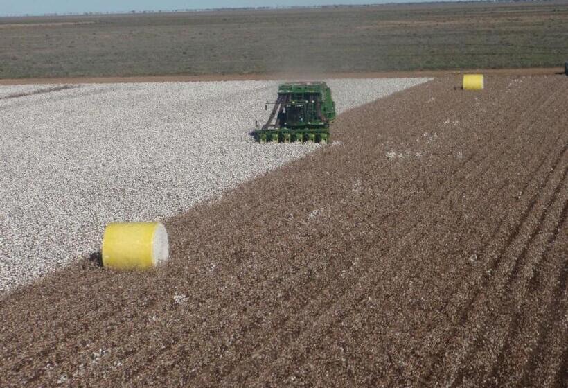 בית מלון כפרי Corynnia Station