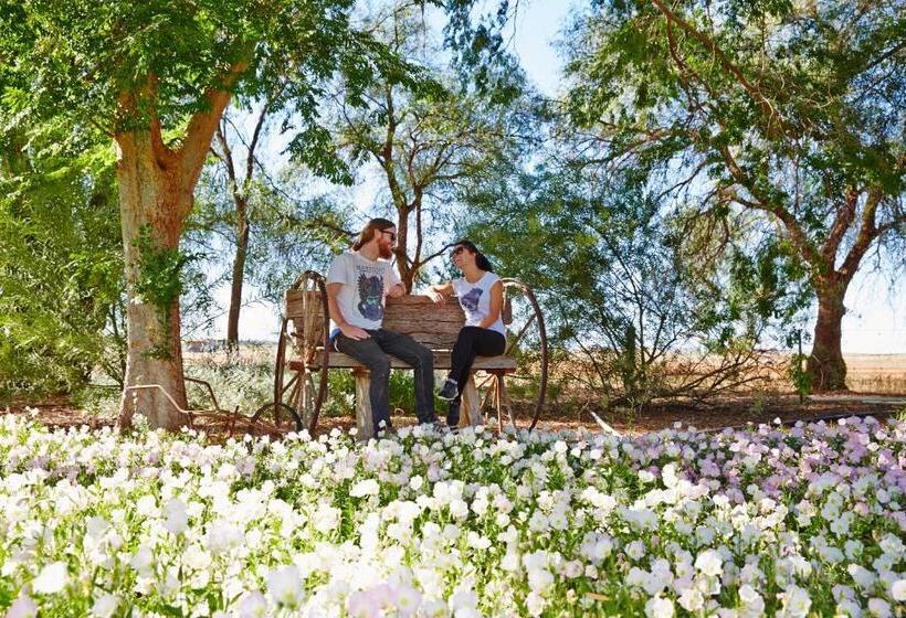 בית מלון כפרי Corynnia Station