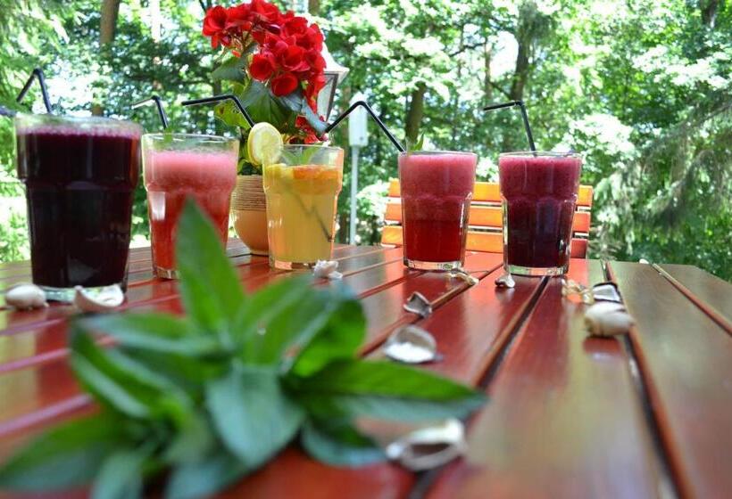 ホテル Ezüstfenyő