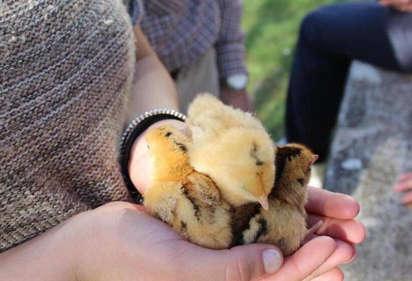 ホテル Fattoria Di Rigone