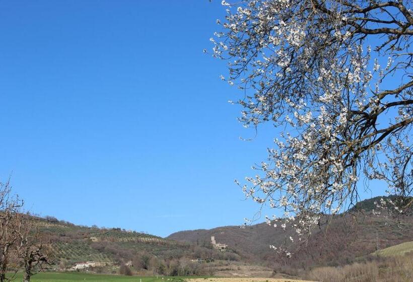 ホテル Fattoria Di Rigone