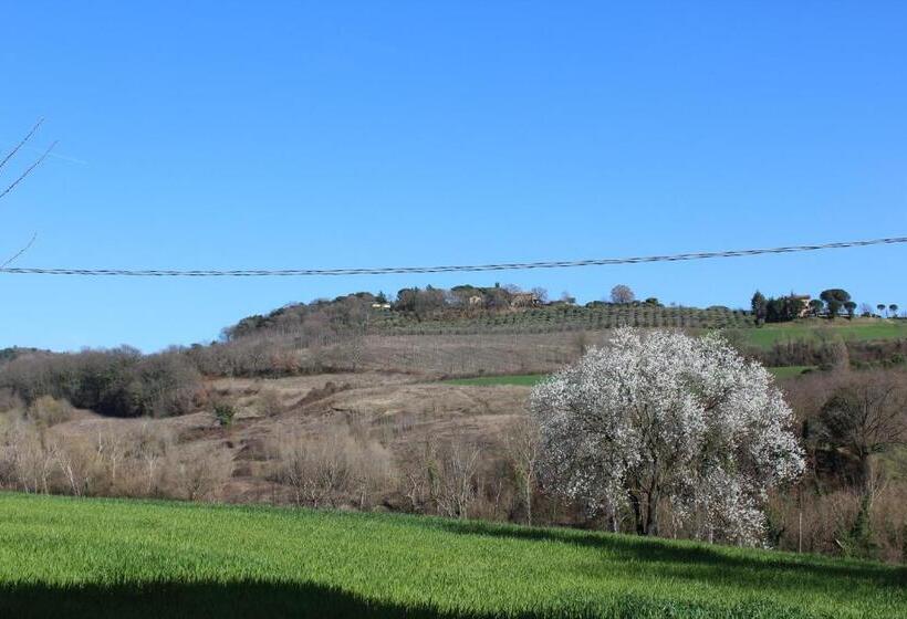 ホテル Fattoria Di Rigone