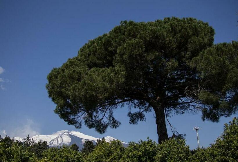 בית מלון כפרי Il Melograno