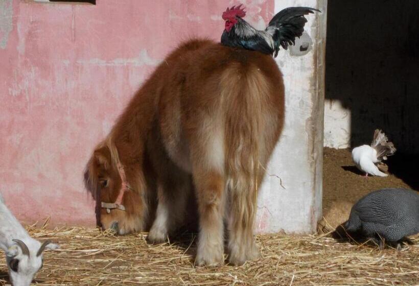 בית מלון כפרי La Fattoria Delle Tartarughe