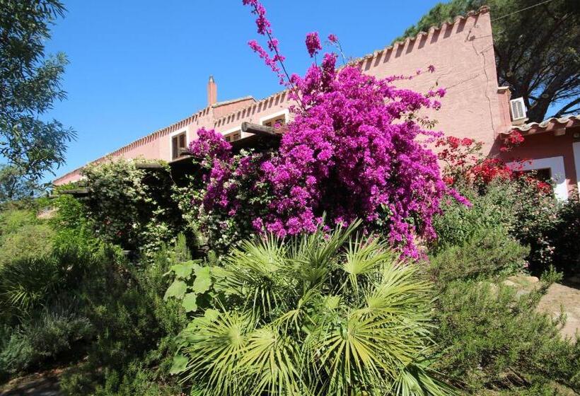 בית מלון כפרי La Fattoria Delle Tartarughe