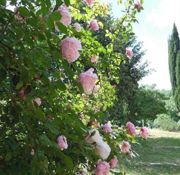 בית מלון כפרי La Fontaiola