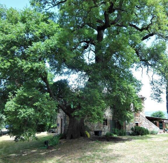 בית מלון כפרי La Fontaiola