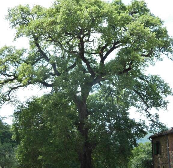 בית מלון כפרי La Fontaiola