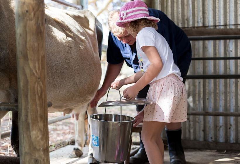 فندق Misty Valley Country Cottages