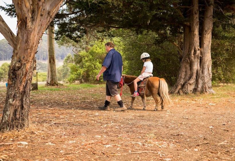 فندق Misty Valley Country Cottages