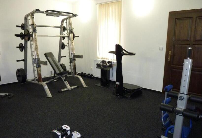 בית מלון כפרי Penzion U Houšků