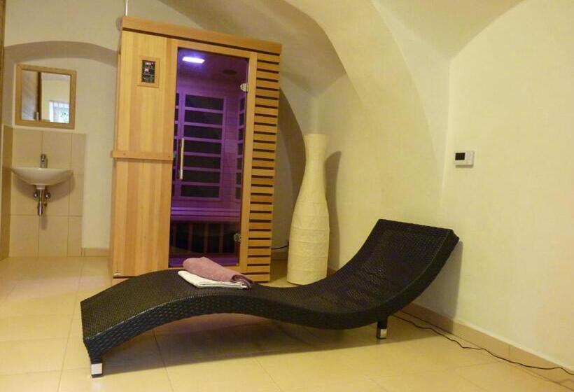 בית מלון כפרי Penzion U Houšků