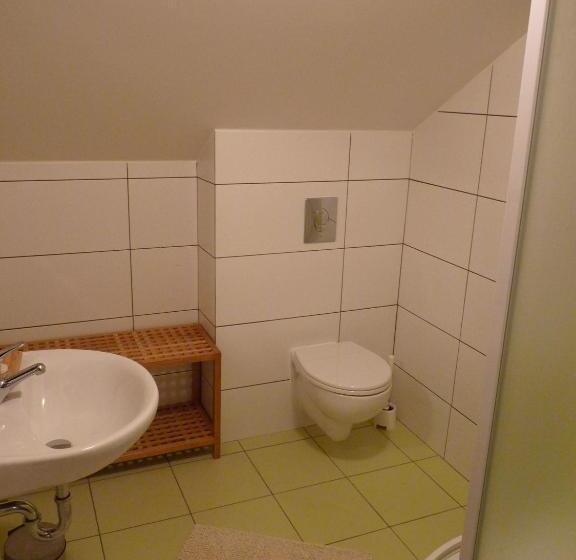 בית מלון כפרי Penzion U Houšků