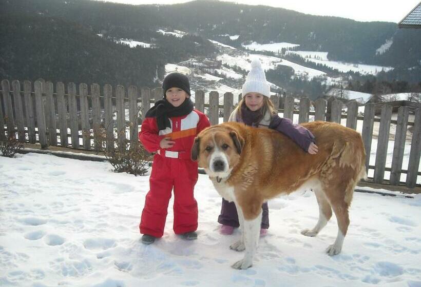 בית מלון כפרי Rastlhof